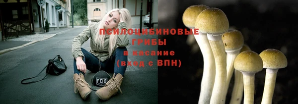 героин Богданович