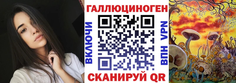 Псилоцибиновые грибы мицелий  Зима 